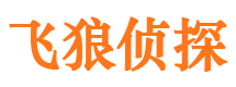 洛川婚外情调查取证